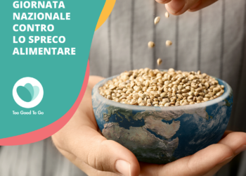 giornata-nazionale-contro-lo-spreco-alimentare--too-good-to-go-lancia-la-campagna-ilcibononsibutta