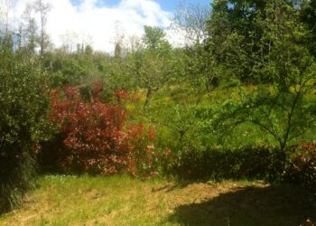 ismea-al-via-il-bando-primo-insediamento