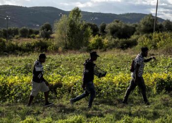migrazione-in-una-mostra-fotografica-storie-di-inclusione-grazie-allagricoltura