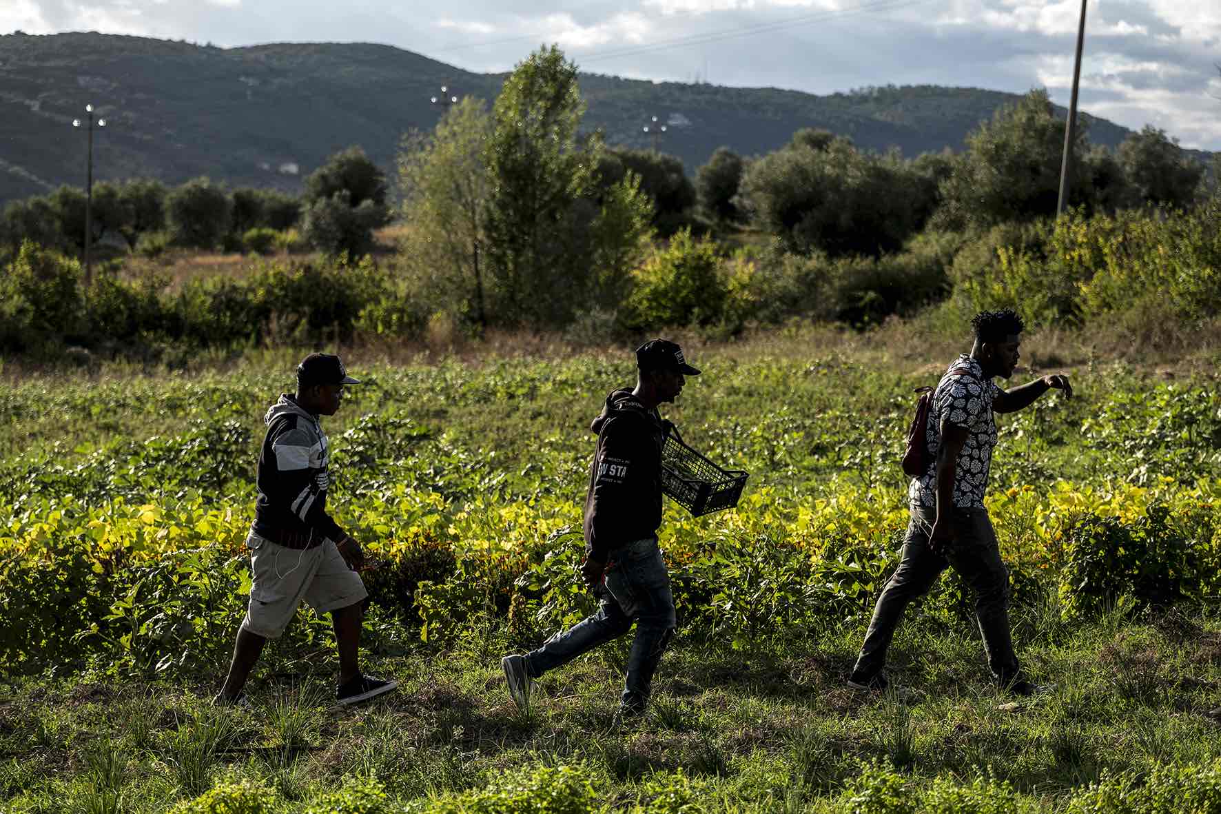 migrazione-in-una-mostra-fotografica-storie-di-inclusione-grazie-allagricoltura