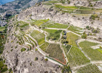 il-paesaggio-terrazzato-delle-alpi-patrimonio-da-valorizzare-e-conservare