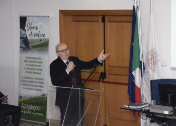 quanto-valgono-qualita-ed-eccellenza
