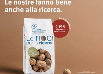 tornano-le-noci-per-la-ricerca