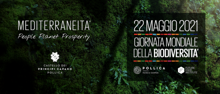 giornata-mondiale-della-biodiversita-a-pollica-al-via-il-nuovo-campus-dedicato-allecologia-integrale-applicata