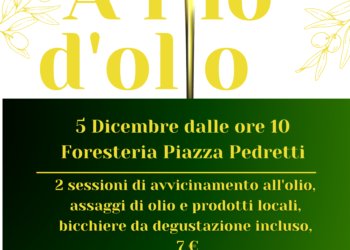 agricoltura-vinci-citta-dellolio-con-iniziative-dedicate-allolivicoltura