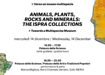 museo-delle-civilta-animali-vegetali-rocce-e-minerali