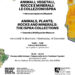museo-delle-civilta-animali-vegetali-rocce-e-minerali
