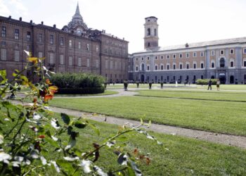 torino-le-attivita-dei-musei-reali