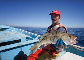 il-report-annuale-sulla-salute-degli-oceani