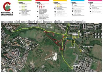 il-fosso-della-cecchignola-diventa-monumento-naturale