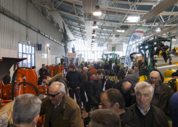 linnovazione-meccanica-alla-fiera-di-faenza-mostra-agricoltura-faenza-maf-e-momevi