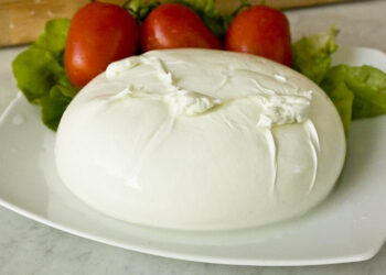 mozzarella-e-lite-tra-campania-e-puglia