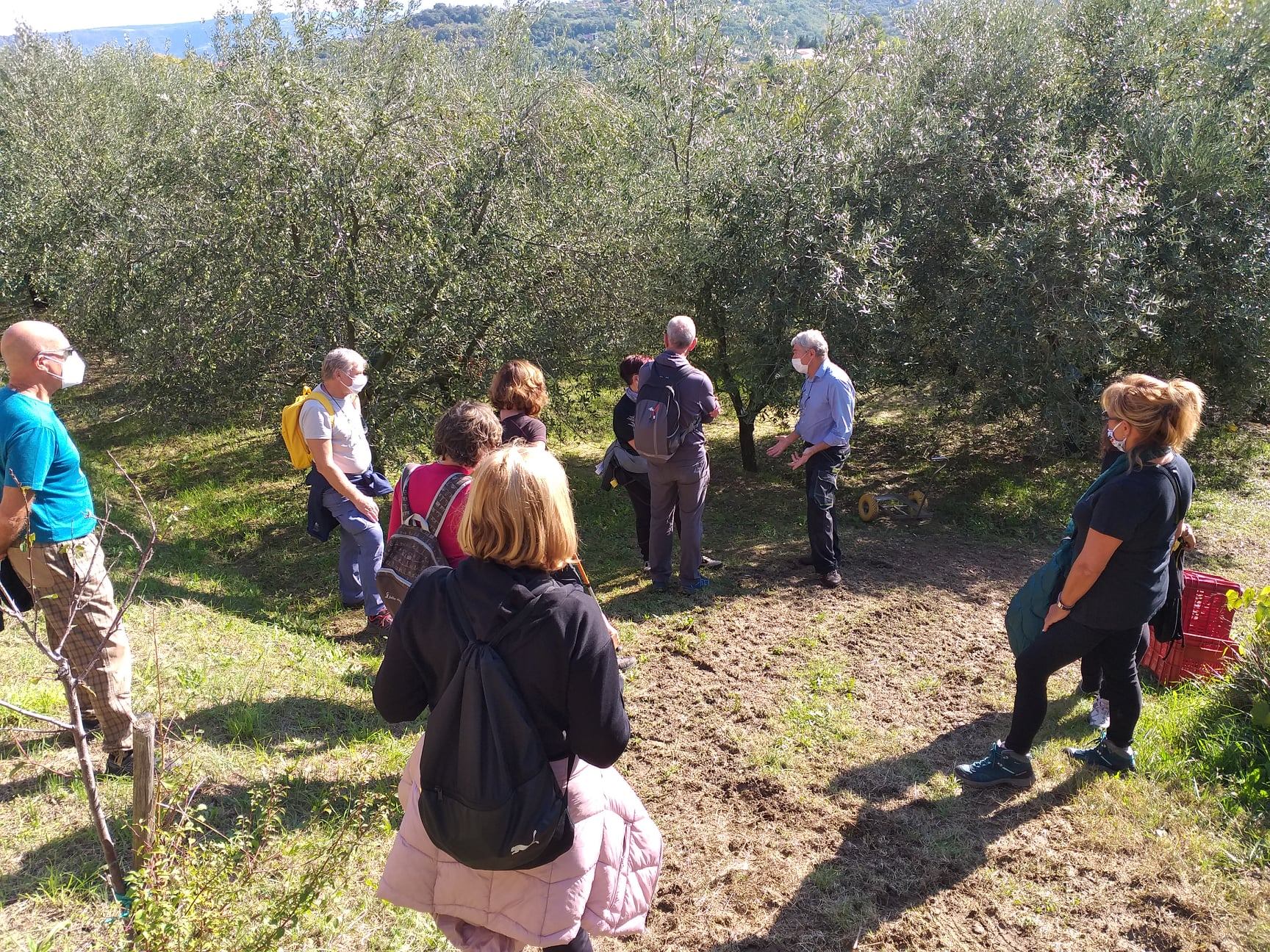 la-camminata-tra-gli-ulivi-ultima-domenica-di-festa