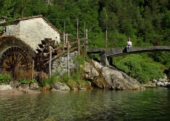 festa-della-pitina---tramonti-di-sopra-19-21-luglio