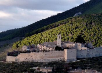 umbria-piantati-gli-ulivi-della-rinascita