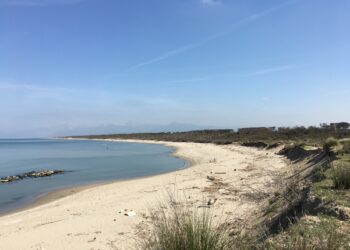 erosione-costa-tra-fiumi-arno-e-magra-calcolato-il-deficit-sedimentario-degli-ultimi-40-anni