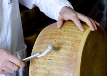 caseifici-aperti-alla-scoperta-del-parmigiano-reggiano-dop