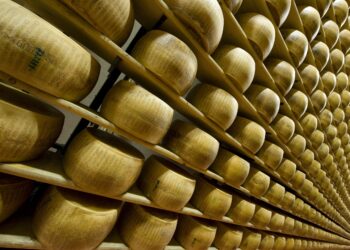 caseifici-aperti-il-parmigiano-reggiano-spalanca-le-sue-porte