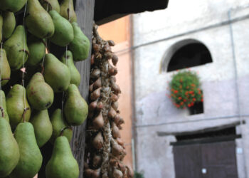 novembre-molto-gustoso-sotto-i-3-colli-di-brisighella