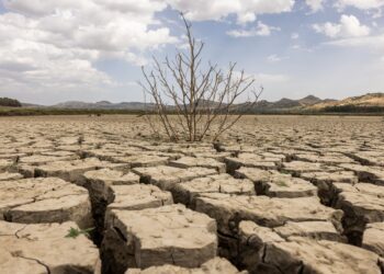 siccita-ecco-i-deserti-ditalia