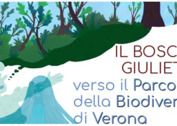 verona-il-progetto-del-parco-della-biodiversita-nellex-cava-speziala-grazie-a-un-libro-per-bambini
