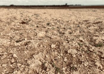 venerdì-17-e-giornata-mondiale-per-la-lotta-alla-desertificazione-ed-alla-siccita