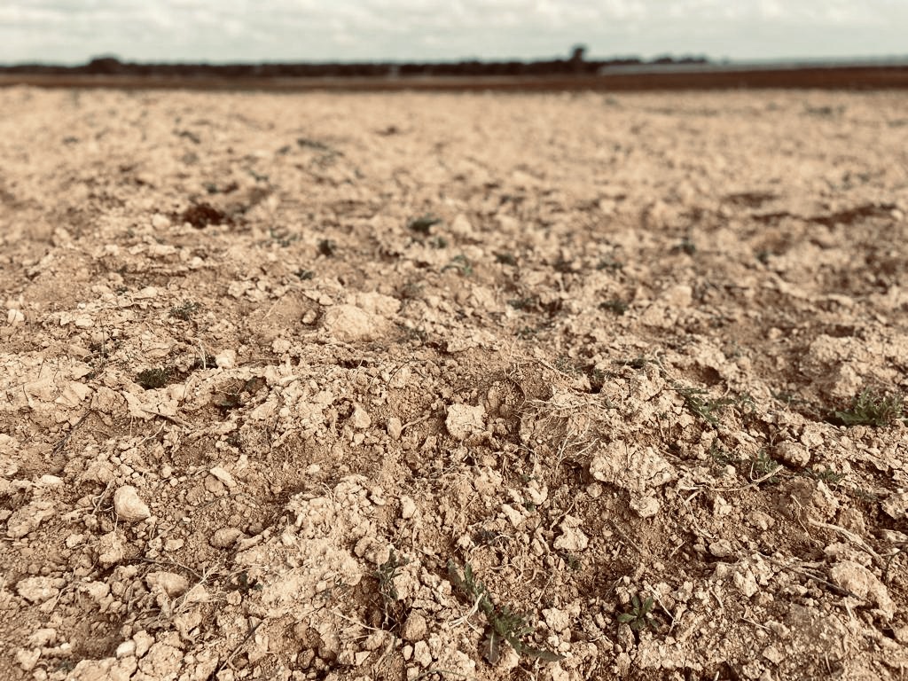 venerdì-17-e-giornata-mondiale-per-la-lotta-alla-desertificazione-ed-alla-siccita