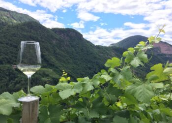 la-rassegna-mueller-thurgau-del-vino-di-montagna-a-san-patrignano