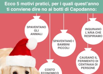 ecco-5-motivi-per-festeggiare-capodanno-senza-botti