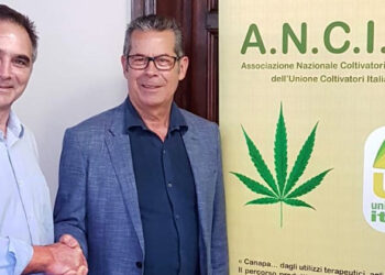 canapa-industriale-partito-il-tavolo-ministeriale