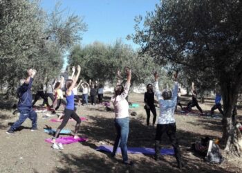 domenica-24-in-141-citta-la-v-edizione-della-camminata-tra-gli-olivi-dedicata-alla-sensibilizzazione-sul-tema-del-recupero-degli-uliveti-abbandonati