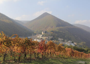 appassimenti-aperti-viaggio-nelle-marche