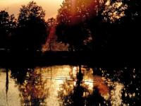 vigevano-mostra-sul-riso-aspettando-expo