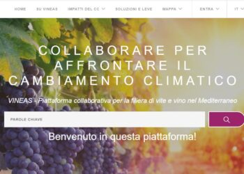 Nasce VINEAS