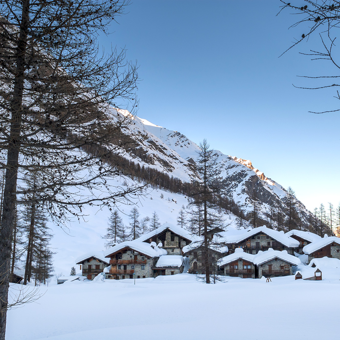 parco-nazionale-gran-paradiso-buon-compleanno-parco