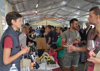 valtidone-wine-fest-sinfonia-numero-9-da-standing-ovation