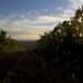 al-via-le-degustazioni-durante-le-anteprime-toscane