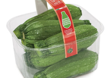 nasce-il-marchio-‘zucchina-chiara-di-bologna