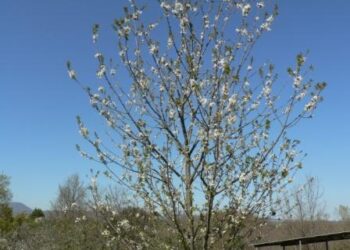 clima-leuropa-ci-prova-con-un-nuovo-piano