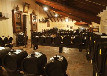 il-museo-del-balsamico-tradizionale-festeggia-20-anni-e-140mila-visitatori