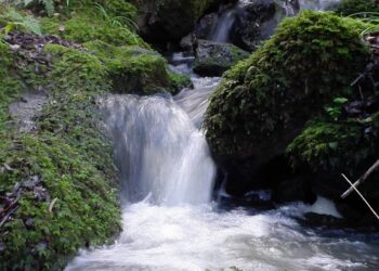 acqua-stress-idrico-per-le-grandi-citta