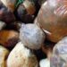 agroalimentare-crescono-gli-acquisti-online