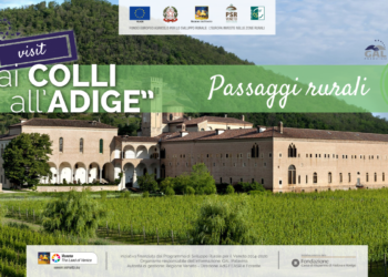 in-bici-sui-colli-euganei-tra-archeologia-arte-e-natura
