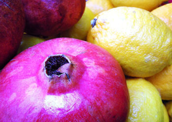 nasce-a-roma-il-centro-ricerche-sullagroalimentare-agri-ethos