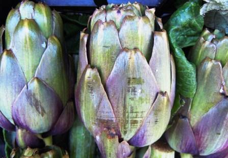 agricoltura-europei-favorevoli-ad-aiuti-piu-cospicui