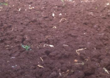 emilia-la-regione-riconosce-i-danni-ai-produttori