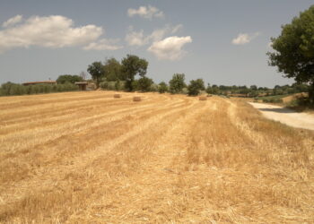 convegno-“agricoltura-genomica-e-prevenzione-dei-tumori”
