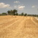 convegno-“agricoltura-genomica-e-prevenzione-dei-tumori”