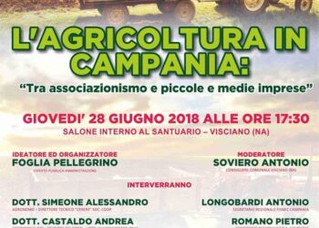 visciano-convegno-sullagricoltura-in-campania