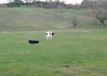 agricoltura-i-giovani-italiani-la-scelgono-come-lavoro